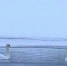 2020 11 17 at 13.17.15 - Министерство природных ресурсов