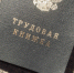 Жизнь после вуза — реальная история поиска работы в Ижевске - Моя Удмуртия