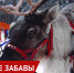 Новогодние мероприятия проходят в Ижевске - ИА Удмуртия
