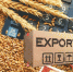В 2020 году экспорт сельхозпродукции Удмуртии вырос почти на 60% - Деловой квадрат
