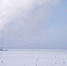 На прудах Ижевска и Воткинска начнут снижать уровень воды - Izhevskinfo.Ru