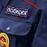 Жительницу Можги ждёт суд за нападение на полицейского - Сусанин