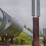В ЯНАО произошёл разлив нефти - Сусанин