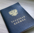 В Удмуртии планируют трудоустроить порядка тысячи подростков на период летних каникул - Моя Удмуртия