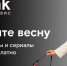 8 марта Wink покажет лучшие фильмы и сериалы для женщин бесплатно - ИА Удмуртия