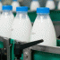 Более 5 кг молочной продукции без маркировки конфисковали на экорынке в Ижевске - Деловой квадрат