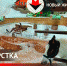 В зоопарке Удмуртии родился жеребенок - ИА Удмуртия