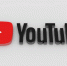 Немецкие каналы RT оспорили в суде блокировку на YouTube - Сусанин