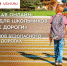Онлайн-олимпиаду «Безопасные дороги» продлили до 28 ноября - Udmedu.Ru