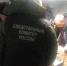 Почти 300 человек задействовано в поиске пропавших пилотов Ми-2 в Удмуртии - Сусанин