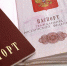 Никого не нужно уговаривать стать гражданином России, это и так происходит само по себе - ЛДПР