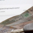 ТРАНСПОРТНЫЙ НАЛОГ ПРЕДЛОЖИЛИ "ЗАМОРОЗИТЬ" - Федерация профсоюзов