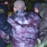 Потерявшегося в лесу пожилого грибника спасли в Удмуртии - Udm-info.Ru