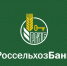 С начала года Россельхозбанк выдал АПК кредитов на более 1,2 трлн рублей - Деловой квадрат