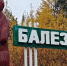 Скульптуру медведя установили при въезде в Балезино - Сусанин