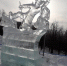 В Хоккей-на-валеночной лиге Ижевска появился свой кубок - Сусанин