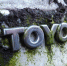 Собственником бывшего автозавода Toyota в Санкт-Петербурге стало ФГУП НАМИ - Сусанин