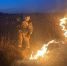 Новый природный пожар разгорелся в Камбарском районе Удмуртии - Izhevsk.Sm.News