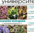 Вышел свежий номер газеты «Удмуртский университет» - УдГУ