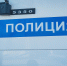 В Удмуртии мужчину задержали за хранение маковой соломы - Udm-info.Ru
