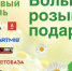 ​Поездку на курорт «Кавказские Минеральные Воды» можно выиграть в рамках Ромашкового фестиваля 8 июля - Информационно-аналитическое управление г. Ижевск