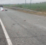 В Глазовском районе в результате двойного наезда автомобилями погибли женщина и корова - Сусанин