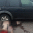 Женщина и корова погибли под колесами двух авто в Удмуртии - Izhevsk.Sm.News