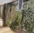 Юлия Кузнецова из ИЭМЗ «Купол» — защитница защитников - Деловой квадрат