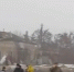 На село в Воронежской области упал авиационный боеприпас - Сусанин