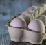 Министра сельского хозяйства Польши закидали яйцами фермеры - Сусанин