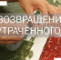 На новой виртуальной выставке рассказываем о кропотливой профессии реставратора. - Музей-заповедник Лудорвай
