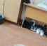 Жители Дебесского района пожаловались на состояние местного политехникума - Сусанин