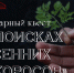 Подготовили для Вас Кулинарный квест «В поисках весенних дикоросов» - Музей-заповедник Лудорвай