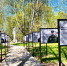 Посвященная участникам боевых действий фотовыставка появится в Уве в Удмуртии - ИА Удмуртия