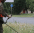 Косить траву начали вдоль ижевских дорог - Сусанин