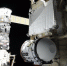 Астронавтов застрявшего на МКС корабля Starliner предложили вернуть с орбиты на Crew Dragon - Сусанин