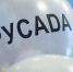 Спортсменам Удмуртии сообщили о новом «Запрещённом списке» WADA - Сусанин