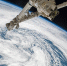 Лишившийся шансов на полет космонавт написал письмо Путину - Сусанин