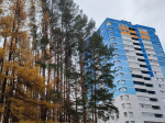 Лес на Ворошилова. Середина октября. Работы в разгаре