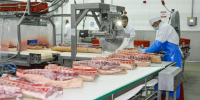 За некачественное мясо для питания детей наказали муниципальную организацию в Глазове - Udm-info.Ru