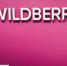 СМИ сообщили о причинах судебного отказа Бакальчуку в передаче активов Wildberries - Udm-info.Ru