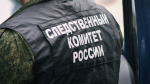 Следователи проверяют информацию о похищении девочки в Удмуртии