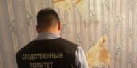 Житель Ижевска признан виновным в убийстве сожительницы и совершении преступлений против половой неприкосновенности ее дочери - Следственный комитет