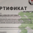 Более 300 участников собрались на региональный этап чемпионата «Профессионалы – 2025» в Удмуртии - Деловой квадрат