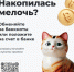 photo_5449652443483861603_x.jpg - Министерство цифрового развития