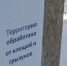 Итоги дня: обработка зелёных зон в Ижевске от клещей и подготовка к ремонту подземного перехода возле УдГУ - Сусанин
