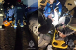 Трое человек пострадали в ДТП с легковушкой и грузовиком под Ижевском