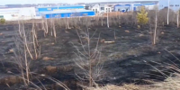 На Воткинском шоссе в Ижевске загорелась сухая трава - Сусанин