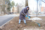 ​В общегородских субботниках принимают участие ветераны спецоперации и самые красивые девушки Ижевска