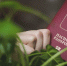 Когда менять паспорт - Udm-info.Ru